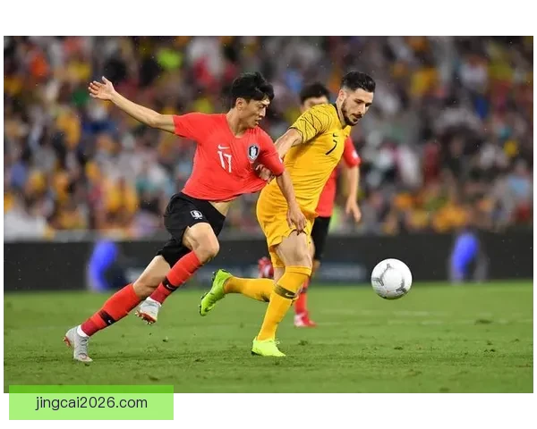 世界杯赛事全解析与投注技巧指南助你精准掌握胜负走势